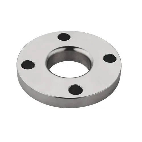 DIN PN Loose Flange